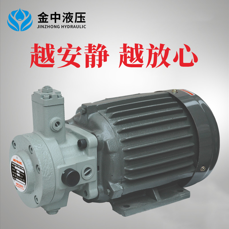 VDP-30+2HP-4P油泵配马达