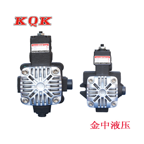 液压油泵|散热变量叶片泵批发