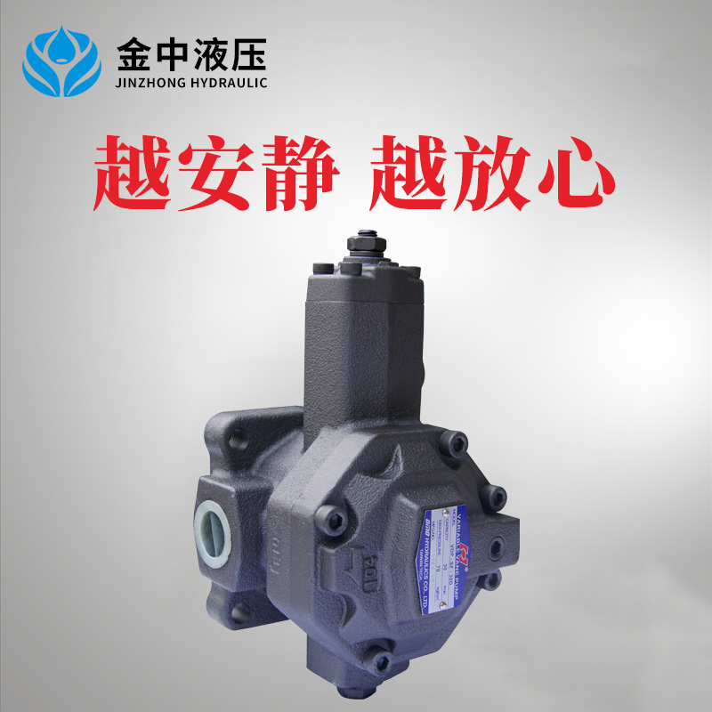 油研款变量叶片泵定制