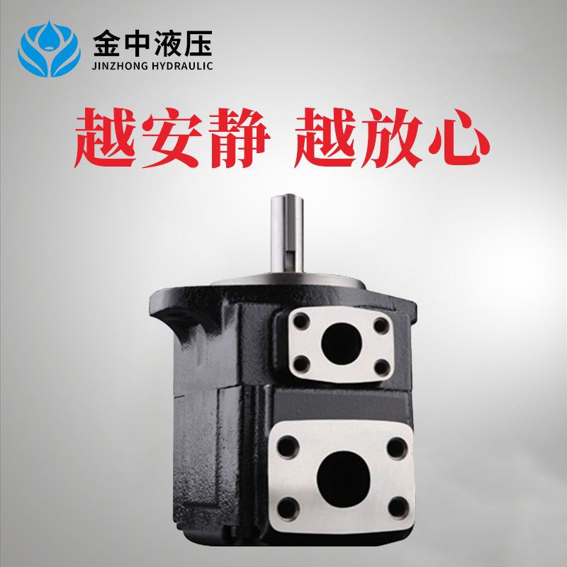 T6C定量叶片泵，丹尼逊款T6T7叶片泵，T6C,T6E,T6D叶片泵,T7B,T7C,T7D,T7E叶片泵
